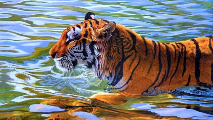 Le tigre s'empare des hauts pics népalais